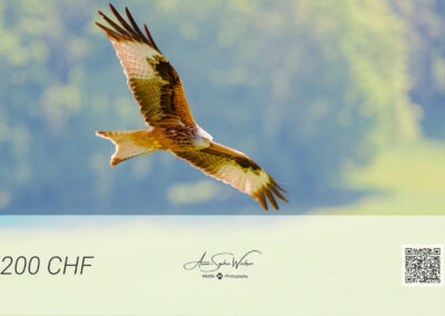 The Gift Card - 200 CHF